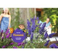 Vlinderstruik in de tuin met kind op de achtergrond