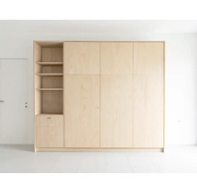 Lichte houten kast met planken en deuren in een heldere kamer.