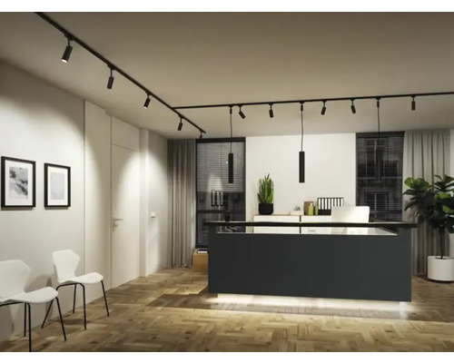 Licht interieur met lineair lichtsystem, kantoormeubilair en planten