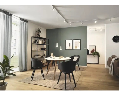 Lichte woonkamer met eettafel, stoelen, rekkensysteem en verlichting