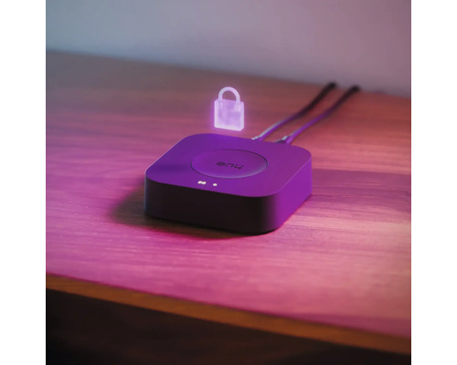 Hue Bridge voor het aansturen van slimme verlichting in huis