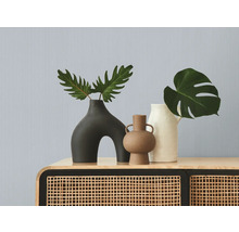 Decoratieve vazen met planten op een kast