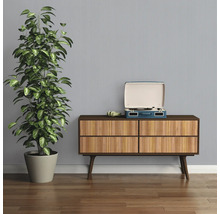 Kamer met dressoir, kamerplant en platenspeler