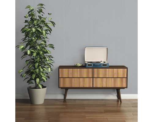 Kamer met dressoir, kamerplant en platenspeler