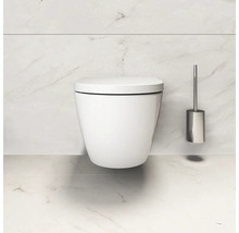 Wandhangend toilet met toiletborstel