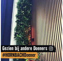 Wanddecoratie met plantenwand en houten panelen