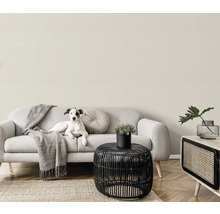 Licht interieur met bank, tafel, kamerplant en hond