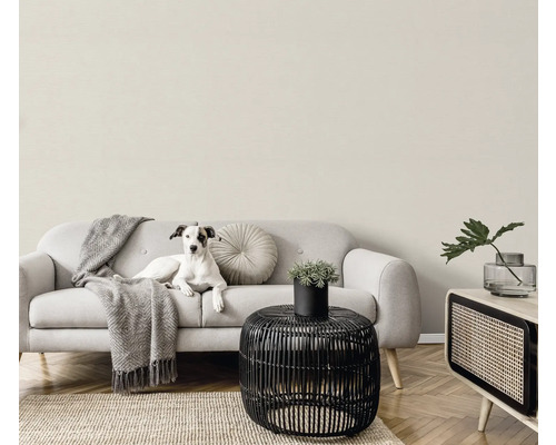 Licht interieur met bank, tafel, kamerplant en hond