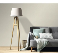 Woonkamer met staande lamp, bank, kussens en fleece deken