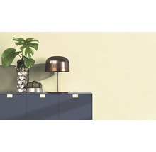 Decoratief stilleven met een Monstera plant in een vaas, een cactus in een pot en een tafellamp op een kast.