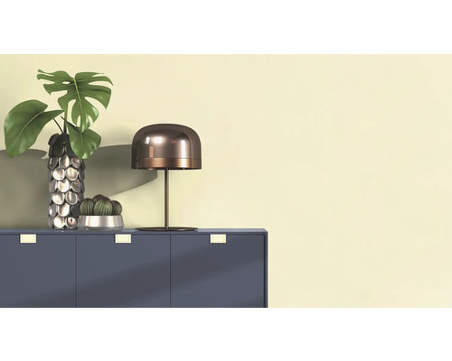 Decoratief stilleven met een Monstera plant in een vaas, een cactus in een pot en een tafellamp op een kast.