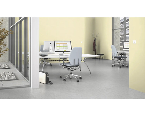 Kantoor met bureaus, bureaustoelen en computers in een helder, modern design