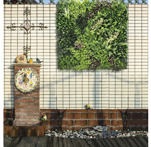 Decoratieve tuin met verticale plantenbak, ornament en sculpturen