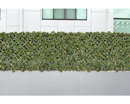 Flexibele privacyscherm van wilg met bladdecoratie voor een muur