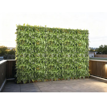 Grote groene plantenwand op een terras met tegels