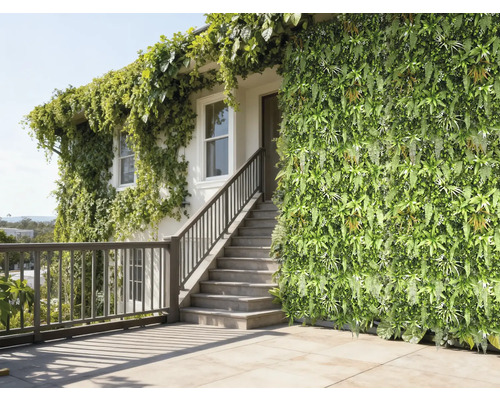 Gevel met verticale tuin en klimplanten