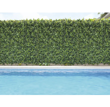 Decoratieve groene plantenwand naast een zwembad.