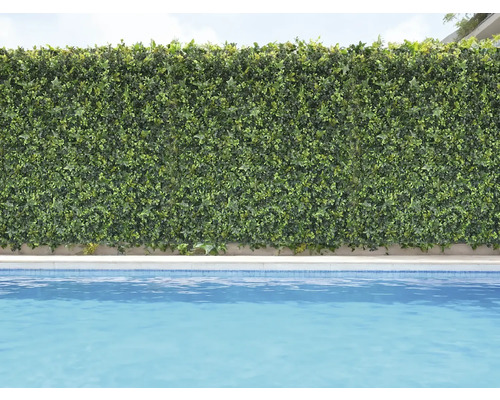 Decoratieve groene plantenwand naast een zwembad.