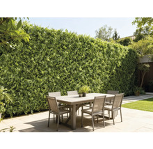 Buitenscène met eettafel en groene wand als tuinafscheiding.