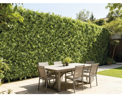 Buitenscène met eettafel en groene wand als tuinafscheiding.