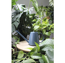 Gietkan tussen kamerplanten op tafel