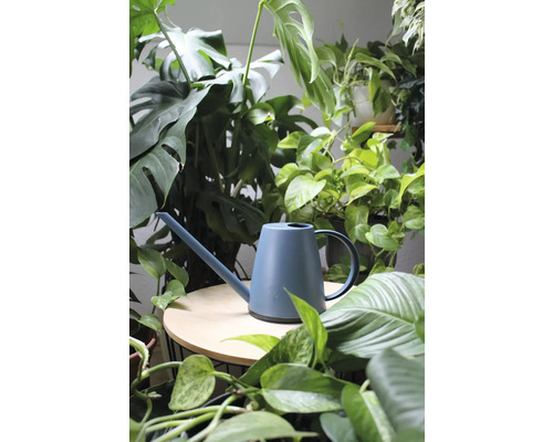 Gietkan tussen kamerplanten op tafel