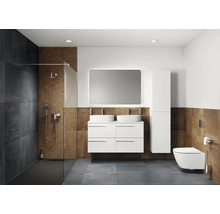 Moderne badkamer met douche, dubbele wastafel, spiegel en toilet.