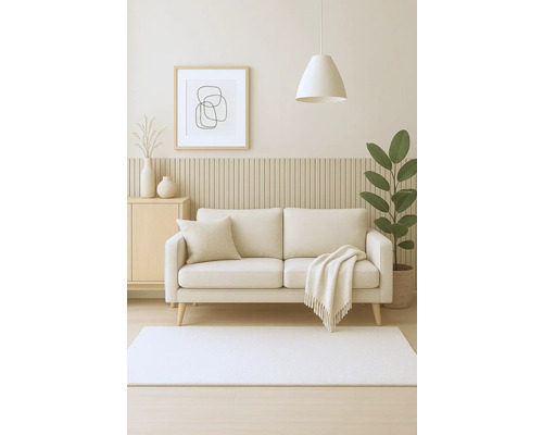 Woonkamer met bank, tapijt, bijzettafel, kamerplant en decoratie