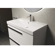 Wastafelmeubel met onderkast, twee lades en kraan