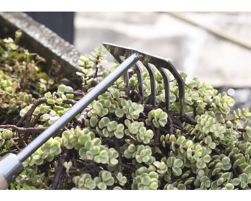 Tuinhark voor grondbewerking tussen planten