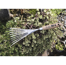 Tuinhark met houten handvat en metalen tanden, omgeven door groene planten.