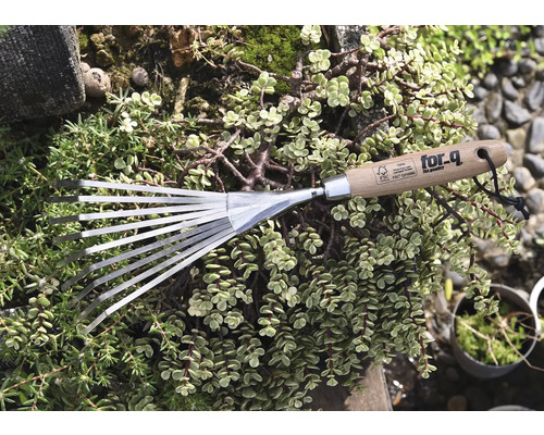 Tuinhark met houten handvat en metalen tanden, omgeven door groene planten.