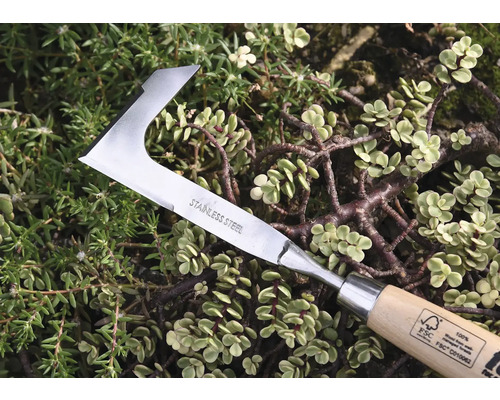 Roestvrijstalen onkruidmes met houten handvat