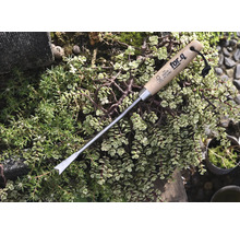 Onkruidsteker met houten handvat voor tuinwerkzaamheden