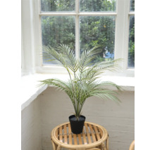 Kunstmatige Areca palmboom in pot op een rotan tafel voor een raam