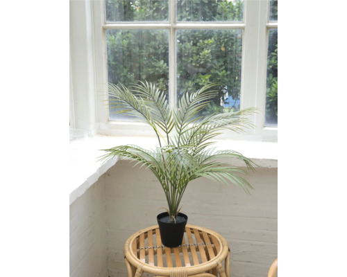 Kunstmatige Areca palmboom in pot op een rotan tafel voor een raam