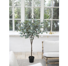 Kunstmatige eucalyptusboom in pot voor een raam