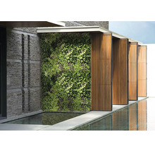 Buitenaanzicht met groene wand, stenen muur en waterspiegeling