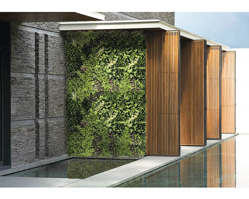 Buitenaanzicht met groene wand, stenen muur en waterspiegeling