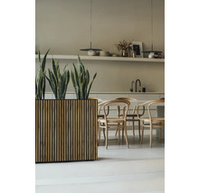 Licht interieur met houten tafel, stoelen en plantenbak met groene planten