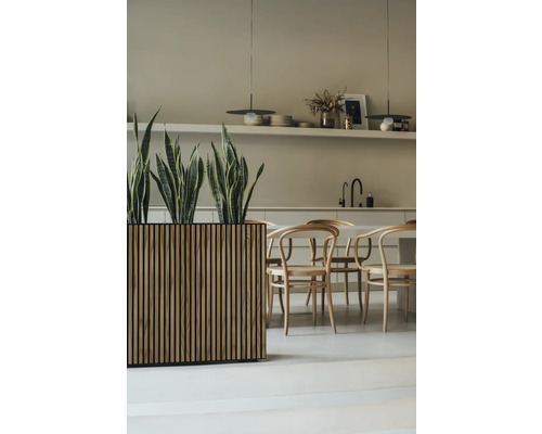 Licht interieur met houten tafel, stoelen en plantenbak met groene planten