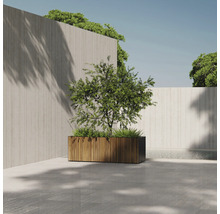 Buitenfoto van een beplante bloembak met houten bekleding voor een betonnen muur