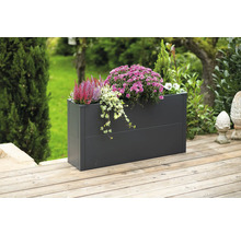 Rechthoekige metalen plantenbak met herfstbloemen op een houten terras