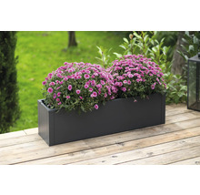 Rechthoekige plantenbak met twee bossen paarse bloemen op een houten terras