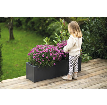 Een rechthoekige plantenbak met weelderige paarse chrysanten op een houten terras, bekeken door een klein meisje