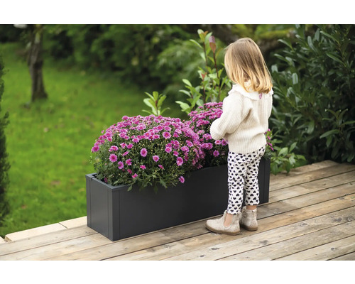 Een rechthoekige plantenbak met weelderige paarse chrysanten op een houten terras, bekeken door een klein meisje