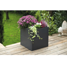 Vierkante plantenbak met diverse planten op een houten terras.