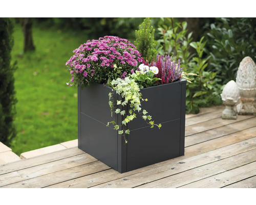 Vierkante plantenbak met diverse planten op een houten terras.