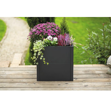 Decoratieve plantenbak met verschillende planten op een houten terras