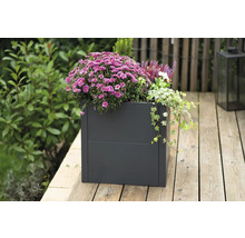 Metalen plantenbak met seizoensbeplanting op een terras